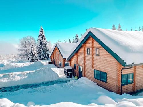 冬のPur Natur! Wandern und Skifahren - Trahütti Premium Lodgesの様子