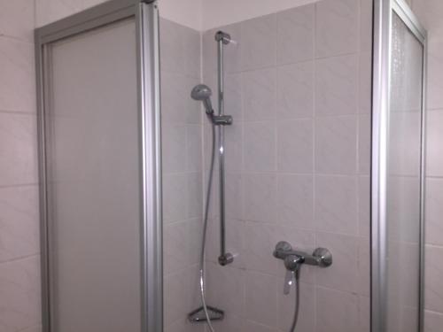 a shower in a bathroom with a glass door at Elbsandstein Apartments Altstadt in Erfurt