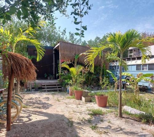 a house with palm trees in front of a building at Polita Tiny House, con piscina, a 200m de la playa in Holbox Island