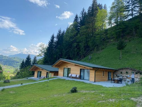 a log cabin on a grassy hill with a house at Cabanele Olena in Borsa