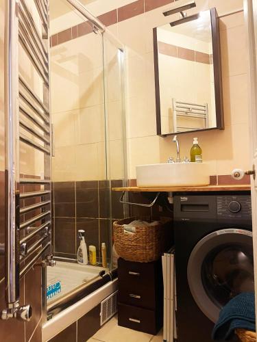 une salle de bain avec un lavabo et une machine à laver dans l'établissement Flat in Montmartre/Abbesses, à Paris