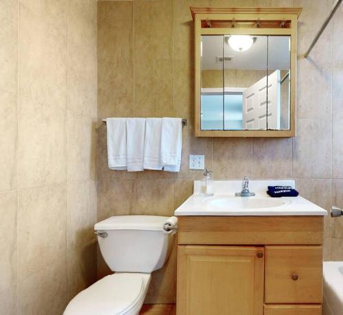 een badkamer met een toilet, een wastafel en een spiegel bij The Cozy Quarters - Sleeps 10 in Chicago