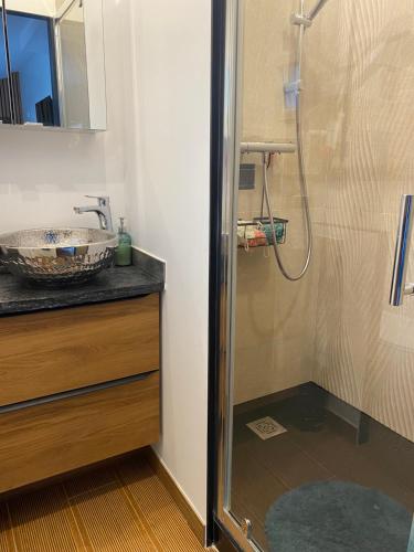 La salle de bains est pourvue d'une douche et d'un lavabo. dans l'établissement Paris-Zénith-bienvenue-terrasse-Netflix, à Pantin