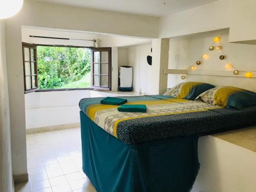 Cama grande en habitación con ventana en Top Hill appartements et dortoir - Martinique, en La Trinité