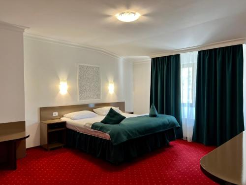 a hotel room with a bed and a window at ARMONIA in Filiaşi