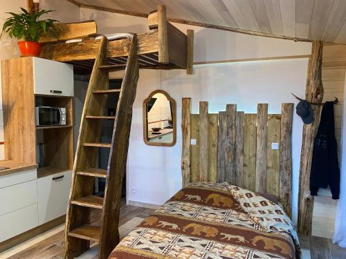 a bedroom with a bunk bed and a ladder at Studio famille, lit aventurier in Saint-Laurent-de-Neste