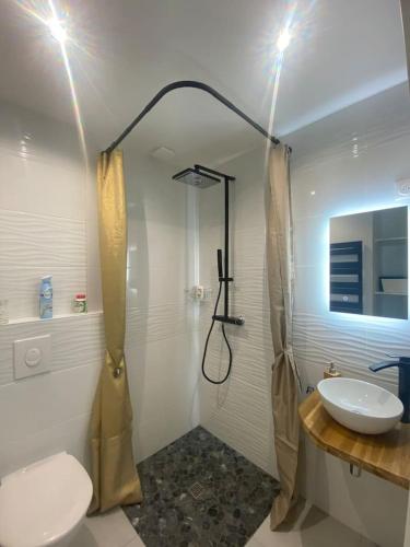 une salle de bain avec une douche, un lavabo et des toilettes dans l'établissement studio zen, à Vannes