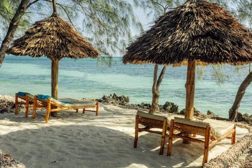 una playa con sillas y sombrillas y el océano en Salida Beach, en Kizimkazi