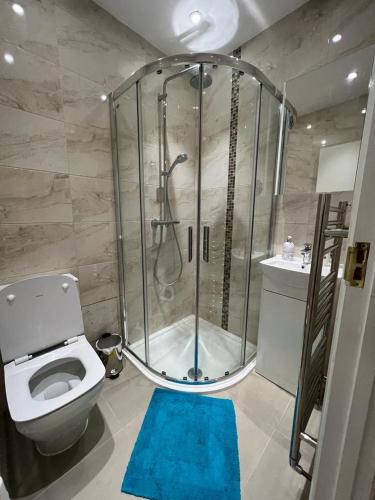 a bathroom with a shower and a toilet at JAN'S HAVEN Wembley Park - lovely 1 bedroom flat, sleeps 4, free parking, 10 minutes from Wembley stadium and Wembley Park station in London