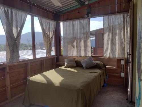 1 dormitorio con 1 cama en una habitación con ventanas en ORidleys Hostel16, en Barra de Potosí