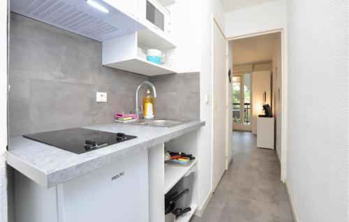 uma cozinha com um lavatório e uma bancada em Nice Apartment In Beausoleil With Wifi em Beausoleil