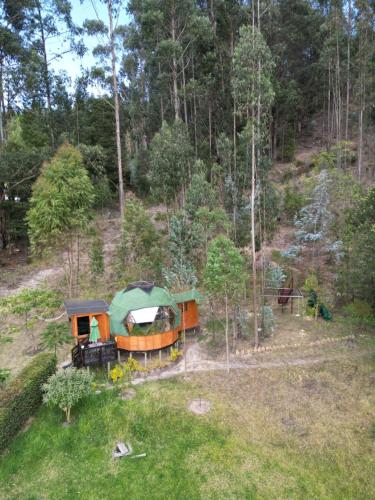 a train in the middle of a forest at Libélula Glamping con jacuzzi in Duitama