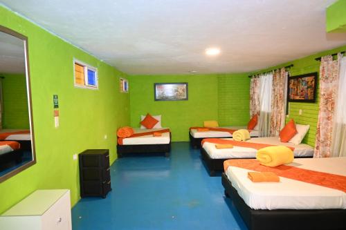Gallery image of GLAMPING LA CRISTALINA in Jamundí