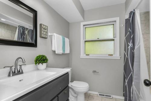 a bathroom with a sink and a toilet and a window at Prime Location, Cozy & Spacious home in Schaumburg in Schaumburg