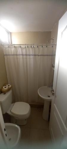 bagno bianco con servizi igienici e lavandino di Confortable y Amplio loft a Mendoza