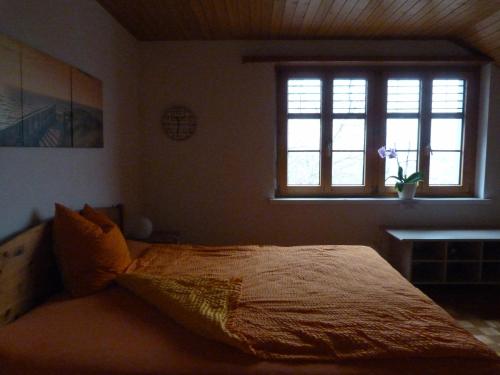 een slaapkamer met een bed en een raam bij BnB Goldberg in Schmerikon