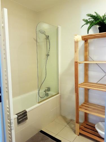 une salle de bain avec une douche avec une porte vitrée dans l'établissement Les Orres 1800 - Appartement 5 pers - piscine, sauna et parking privé, aux Orres