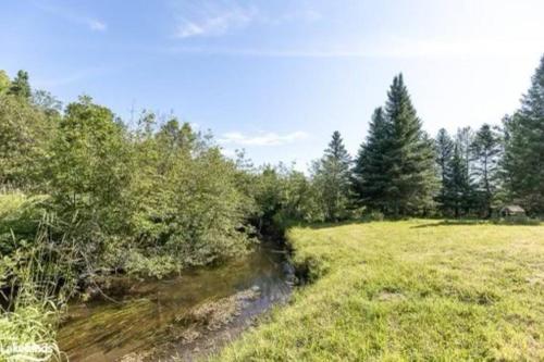 a stream in a field with trees in the background at Farm House in Coldwater
