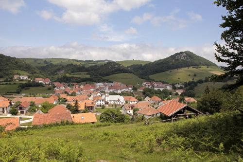 a small town in the hills with houses and mountains at Apartamentos Irati Garralda in Garralda