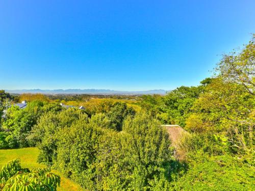 an overhead view of a forest of trees with a blue sky at Devonport House - Constantia in Cape Town