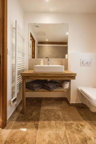 une salle de bain avec un lavabo et des toilettes dans l'établissement Gites notre dame du château, à Saint-Étienne-du-Grès