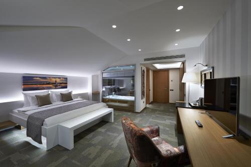 イスタンブールにあるMilport Hotel Levent Istanbulのベッドルーム(ベッド1台、テレビ、ソファ付)
