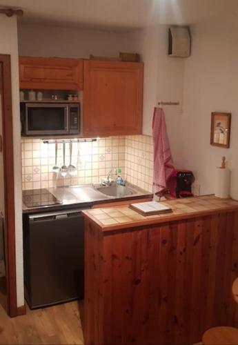 une cuisine avec une cuisinière, un évier et un micro-ondes dans l'établissement Studio porte du Mont Blanc Combloux aux pieds des pistes, à Combloux