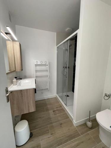 een badkamer met een douche, een wastafel en een toilet bij Appartement proche Stade/Eurexpo in Décines-Charpieu
