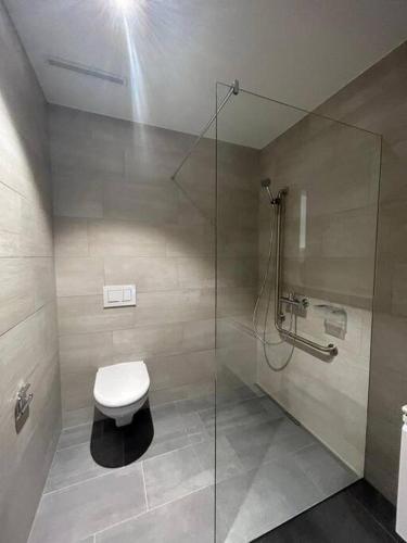 La salle de bains est pourvue de toilettes et d'une douche en verre. dans l'établissement The R Apartment Vogelberg, Gym, Balkon, Parking, à Balsthal