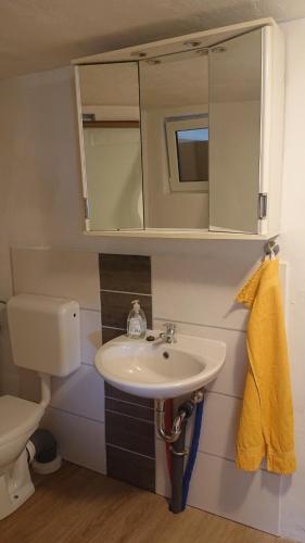 a bathroom with a sink and a toilet at Monteur - Ferienwohnung Gönnern für 1 Person in Gönnern