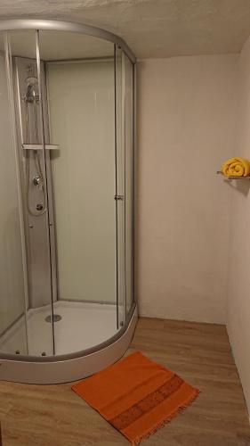 a bathroom with a shower with a glass door at Monteur - Ferienwohnung Gönnern für 1 Person in Gönnern