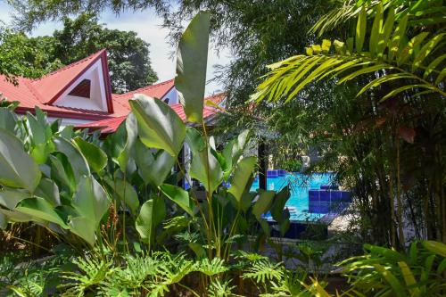 a garden with plants and a pool in the background at Carpe Diem Villas & Resort in Puerto Princesa City