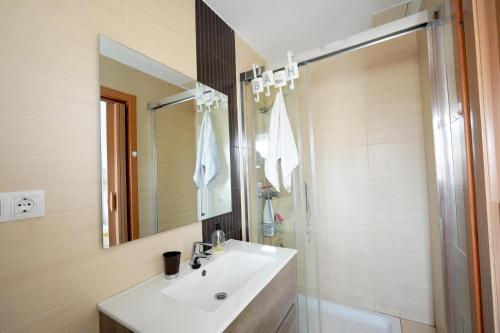 een badkamer met een wastafel, een douche en een spiegel bij EBRE-SET in Sant Jaume d'Enveja
