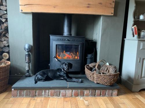 a dog laying in front of a fireplace at Efail Y Garn in Swansea