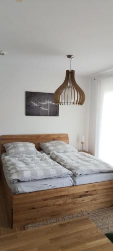 ein Schlafzimmer mit einem Bett und einem Kronleuchter in der Unterkunft Wunderschöne Ferienwohnung direkt an der Elbe, Alt-und Neustadtnähe in Dresden