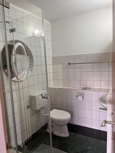 a bathroom with a toilet and a sink at Ferienwohnungen Waldblick in Remscheid
