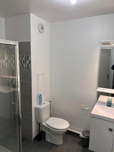 La salle de bains blanche est pourvue d'une douche et de toilettes. dans l'établissement Apt à coté d'aeroport orly avec parking, à Athis-Mons