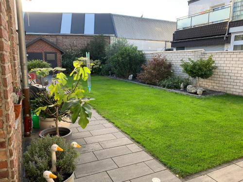 a backyard with a lawn with plants and trees at Kleine Auszeit in Viersen