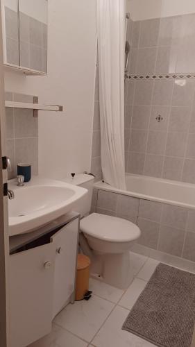 ein Bad mit einem WC, einem Waschbecken und einer Dusche in der Unterkunft Studio PRAPOUTEL in Prapoutel