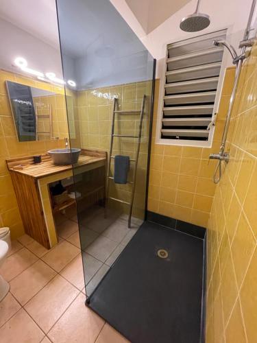La salle de bains est pourvue d'une douche et d'un lavabo. dans l'établissement Villa Florentine - Saint François - Guadeloupe, à Saint-François