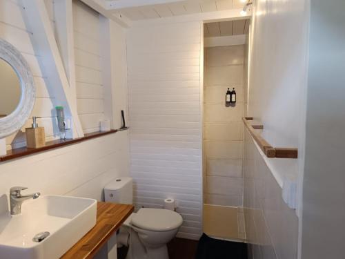 a bathroom with a white toilet and a sink at TI KAZ ANOLI Cottage en bois avec vue sur la baie in Terre-de-Bas