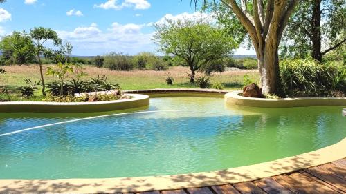 a pool of water with a tree in the middle at Tchagra House in Hluhluwe