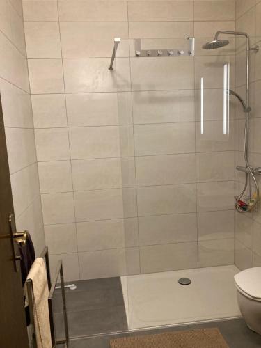 a bathroom with a shower with a toilet at Apartment Stubnerkogelblick in Bad Hofgastein