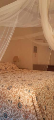 Mais Que Nada Itacaré - Hostel, Bar & Breakfastにあるベッド