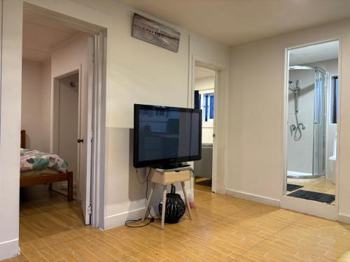 a living room with a television and a mirror at Mt Eden Tidy Unit B in Auckland