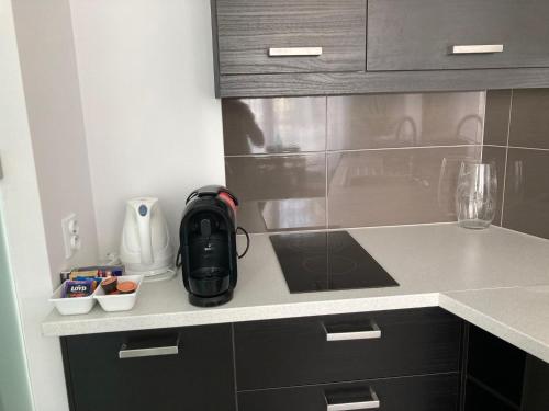 Cuisine ou kitchenette dans l'établissement Szucha Residence Apartments by Global Apart