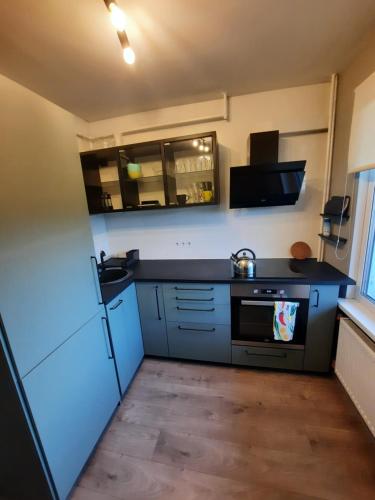 a small kitchen with blue cabinets and a stove at Zemgales 13 in Iecava