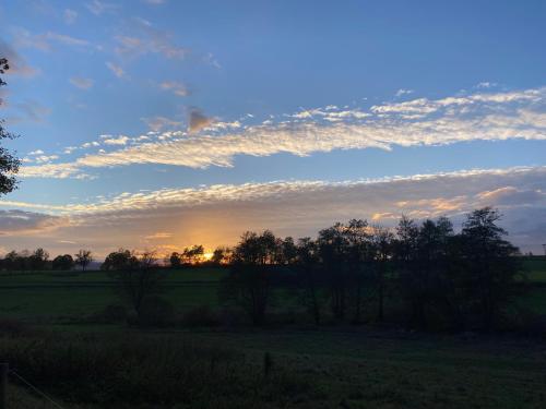 a sunset in a field with trees in a field at Ferienhaus Auszeit in Bad Liebenstein