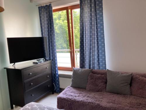 ein Wohnzimmer mit einem Sofa, einem TV und einem Fenster in der Unterkunft Szucha Residence Apartments by Global Apart in Warschau