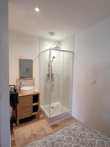 une salle de bain avec douche et lavabo dans l'établissement Studio cosy proche centre ville, à Bergerac